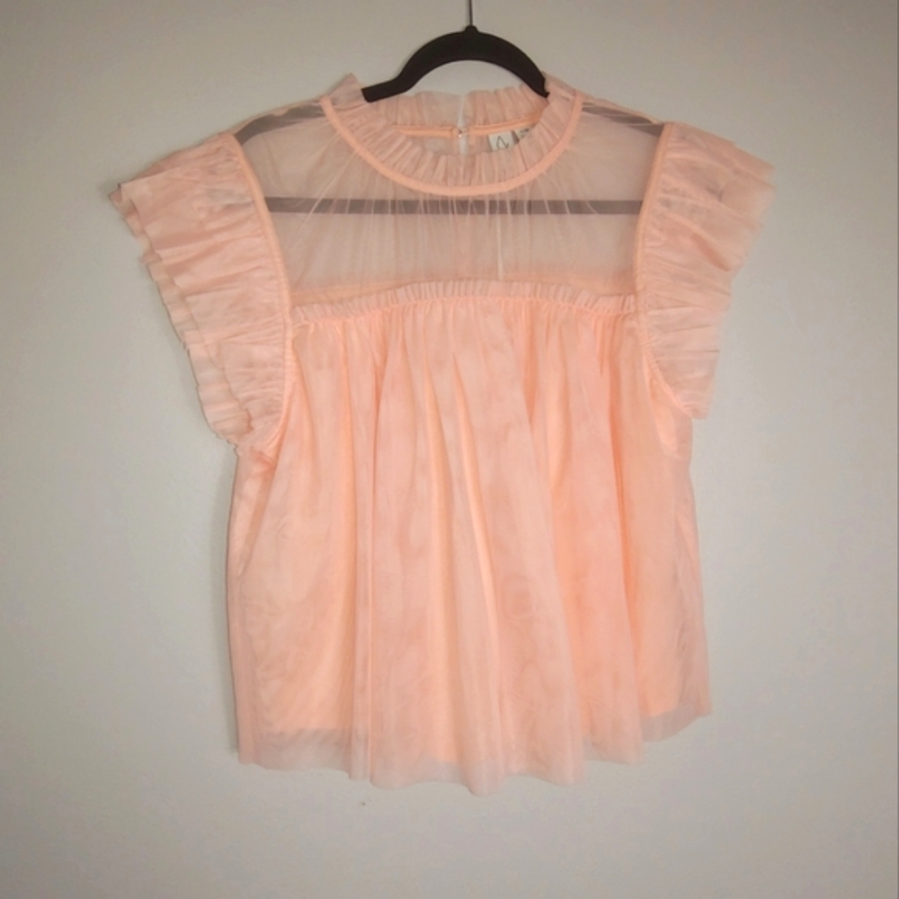Joie Soft Peach Sheer Ruffle Sleeve Top